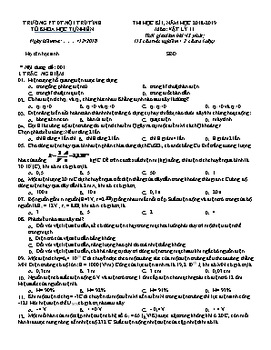 4 Đề thi học kỳ I môn Vật lý Lớp 11 - Năm học 2018-2019 - Trường PTDT Nội trú tỉnh (Có đáp án)